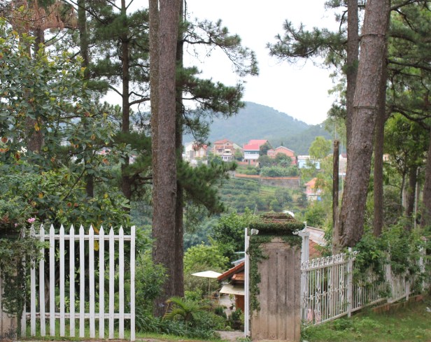 da lat-3