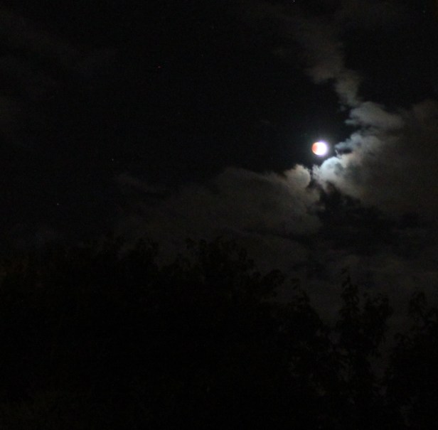 Look closely for the peck of red that covers the moon, and the stars, too - Nhìn kỹ sẽ thấy cái vệt hơi đỏ che mặt trăng, và các ngôi sao nữa (Photo: Anvi Hoàng)