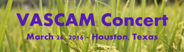 cropped-vascam-concert2.jpg
