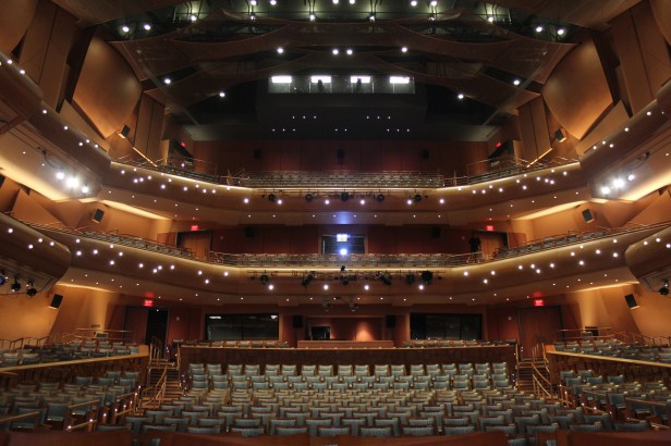 Photo by Anvi Hoàng.